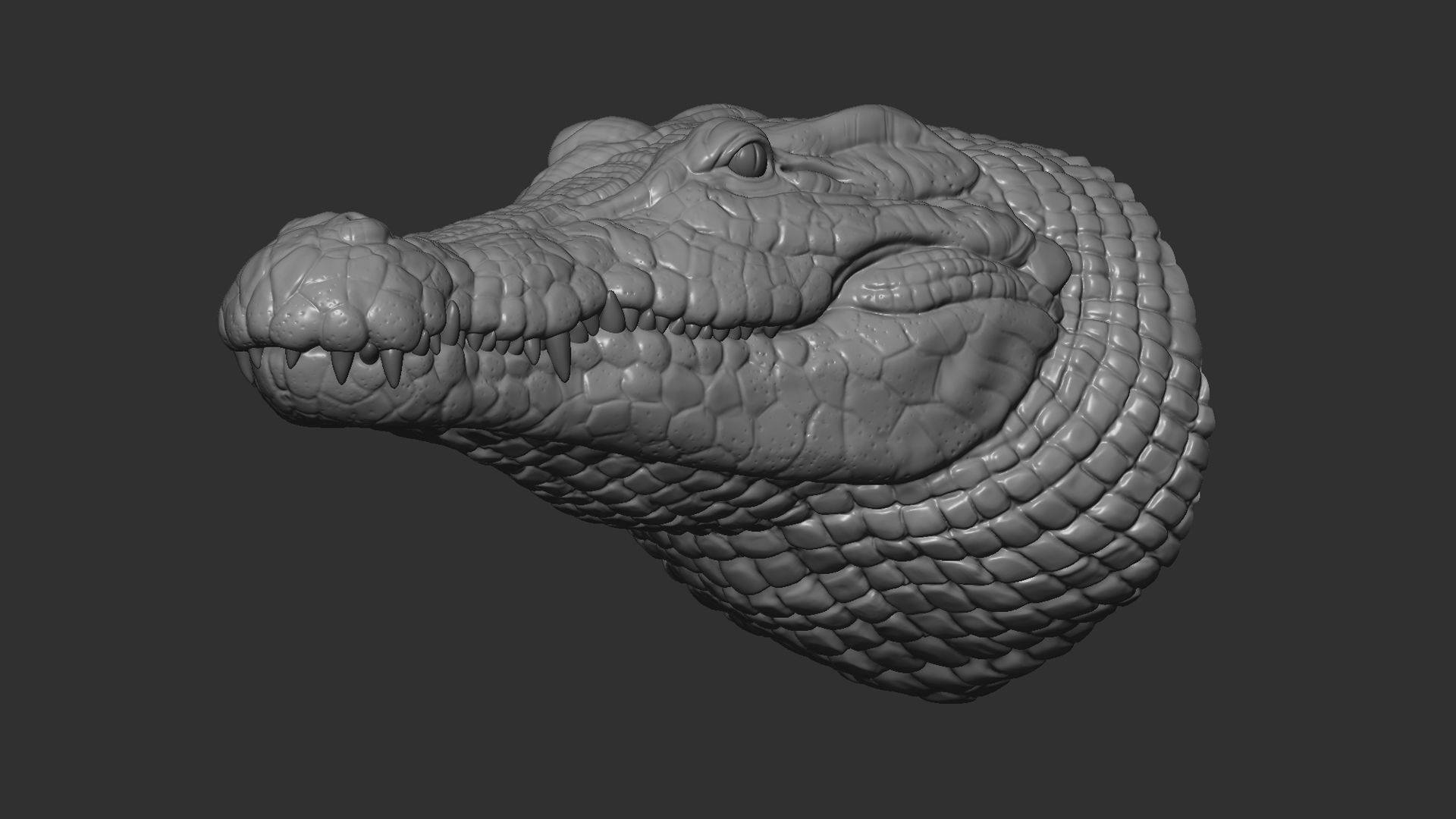 Crocodile bust 3D print model_13