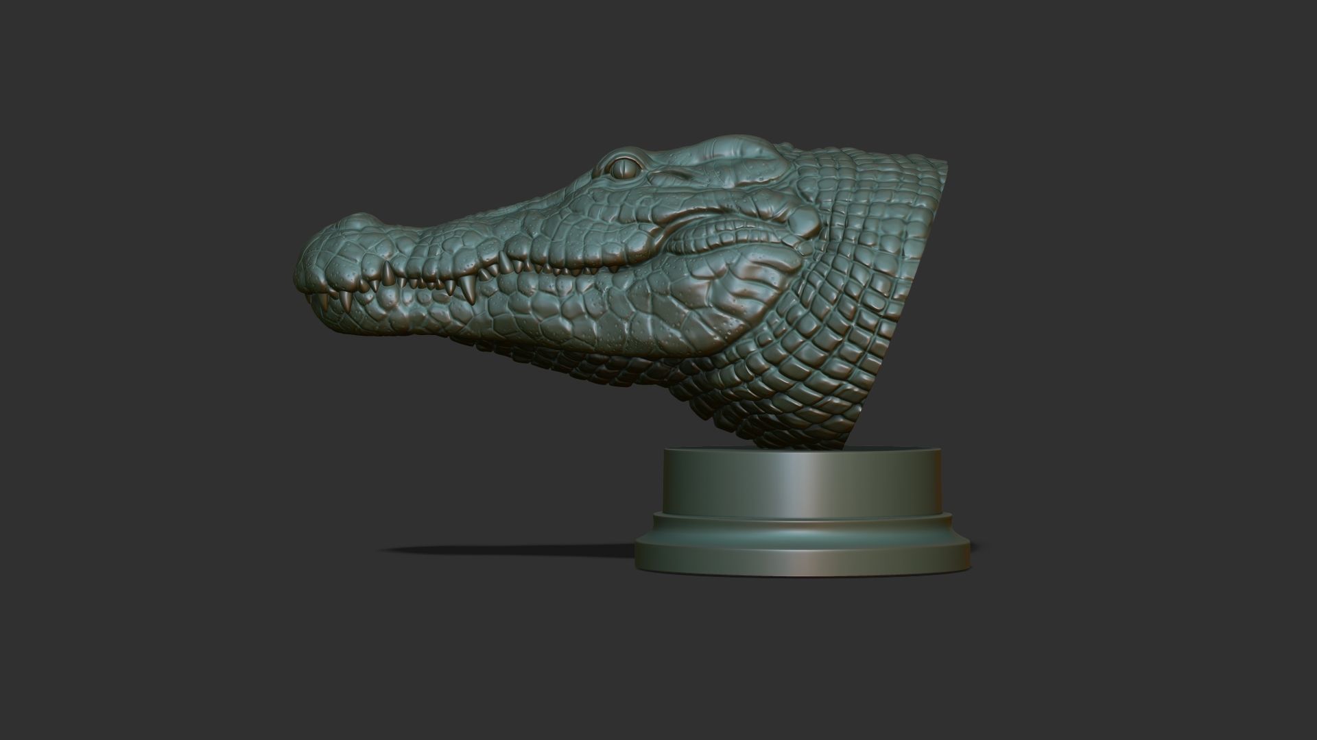 Crocodile bust 3D print model_22