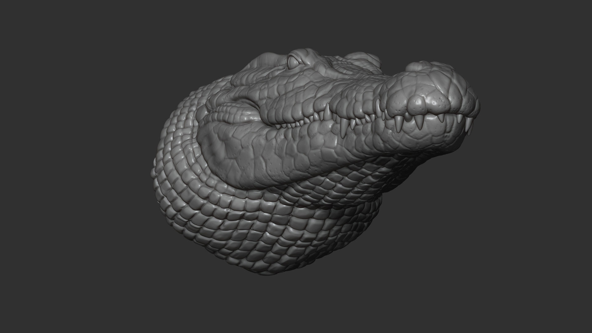 Crocodile bust 3D print model_8