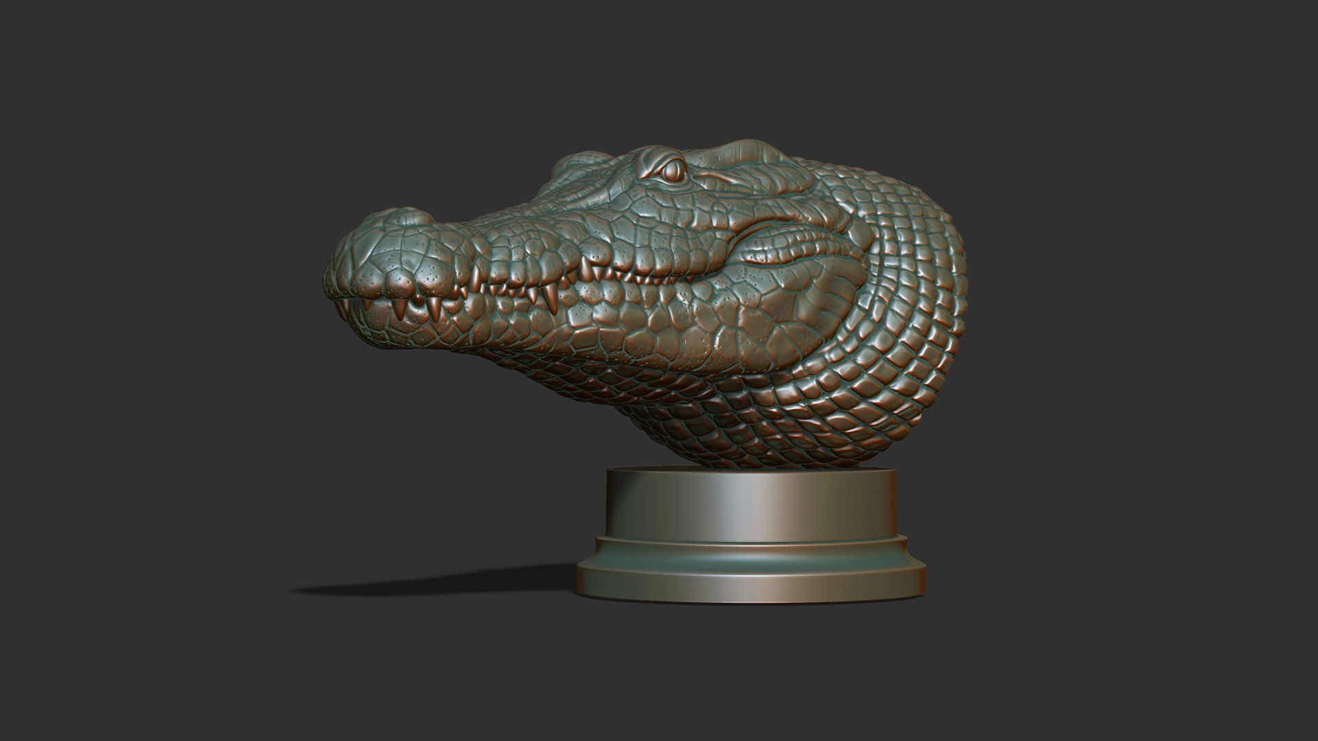 Crocodile bust 3D print model_20
