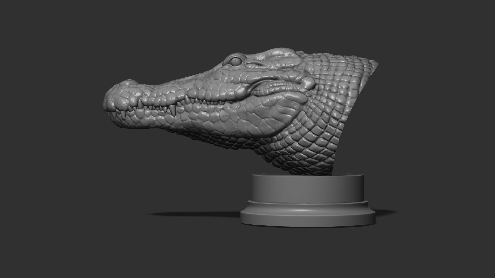 Crocodile bust 3D print model_14