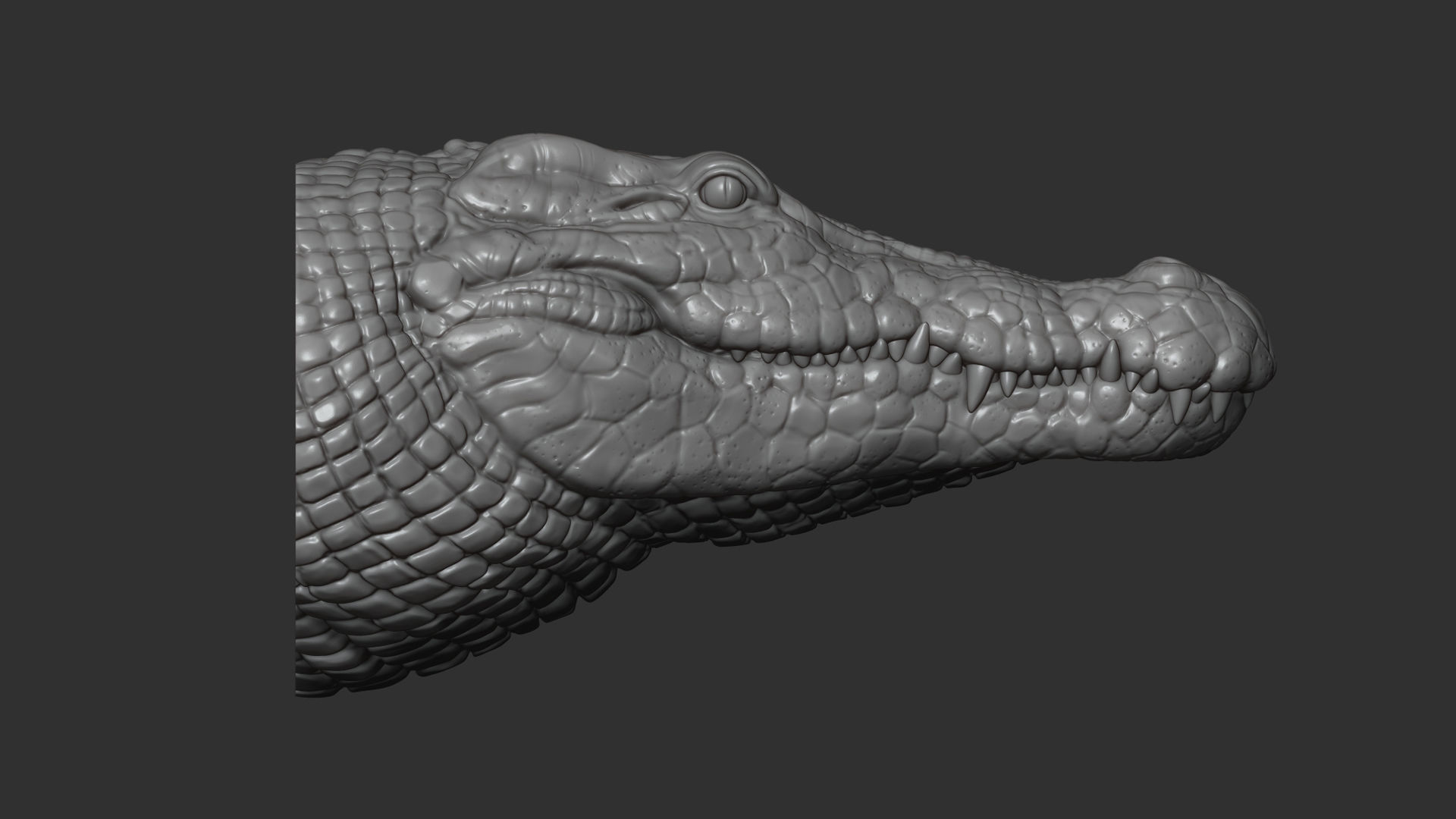 Crocodile bust 3D print model_12