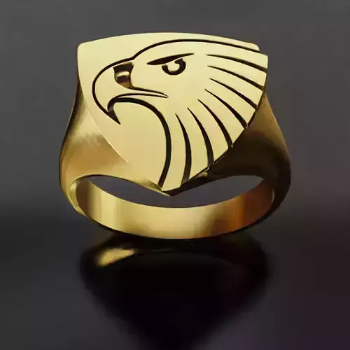 Hawks Australia Football Fans 3D print model  3D print model