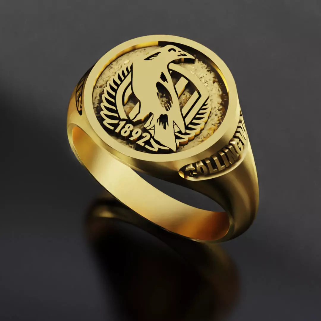 Magpies Collingwood Australia Football Fans 3D print model 3D print model