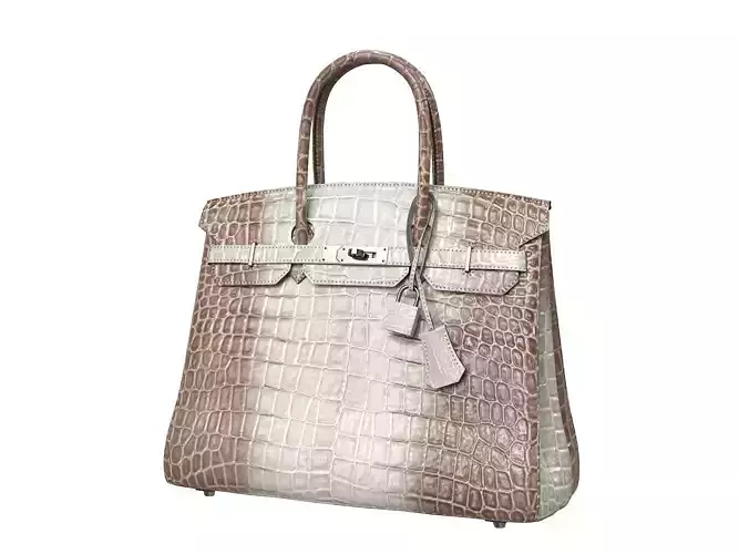 Hermes Birkin Bag Alligator Leather