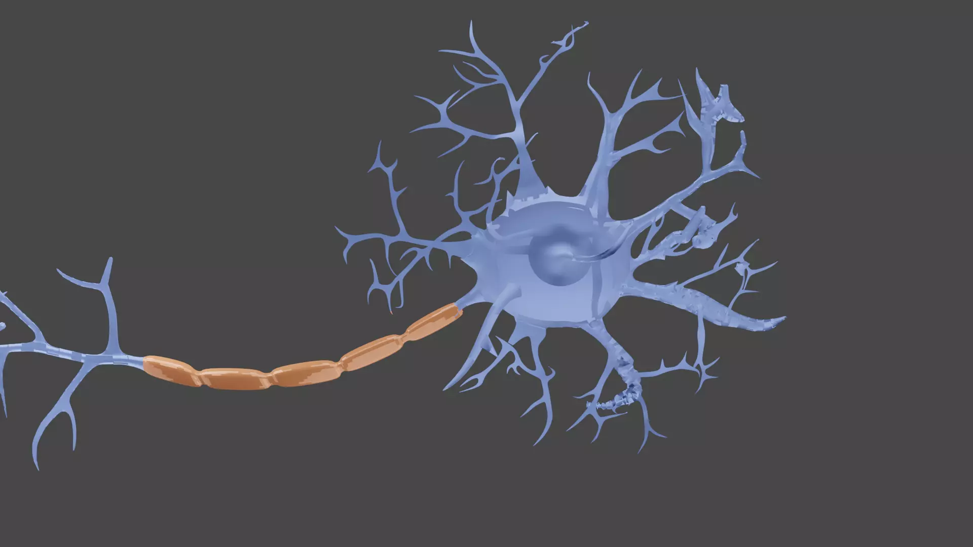 Neurons 3D model_0