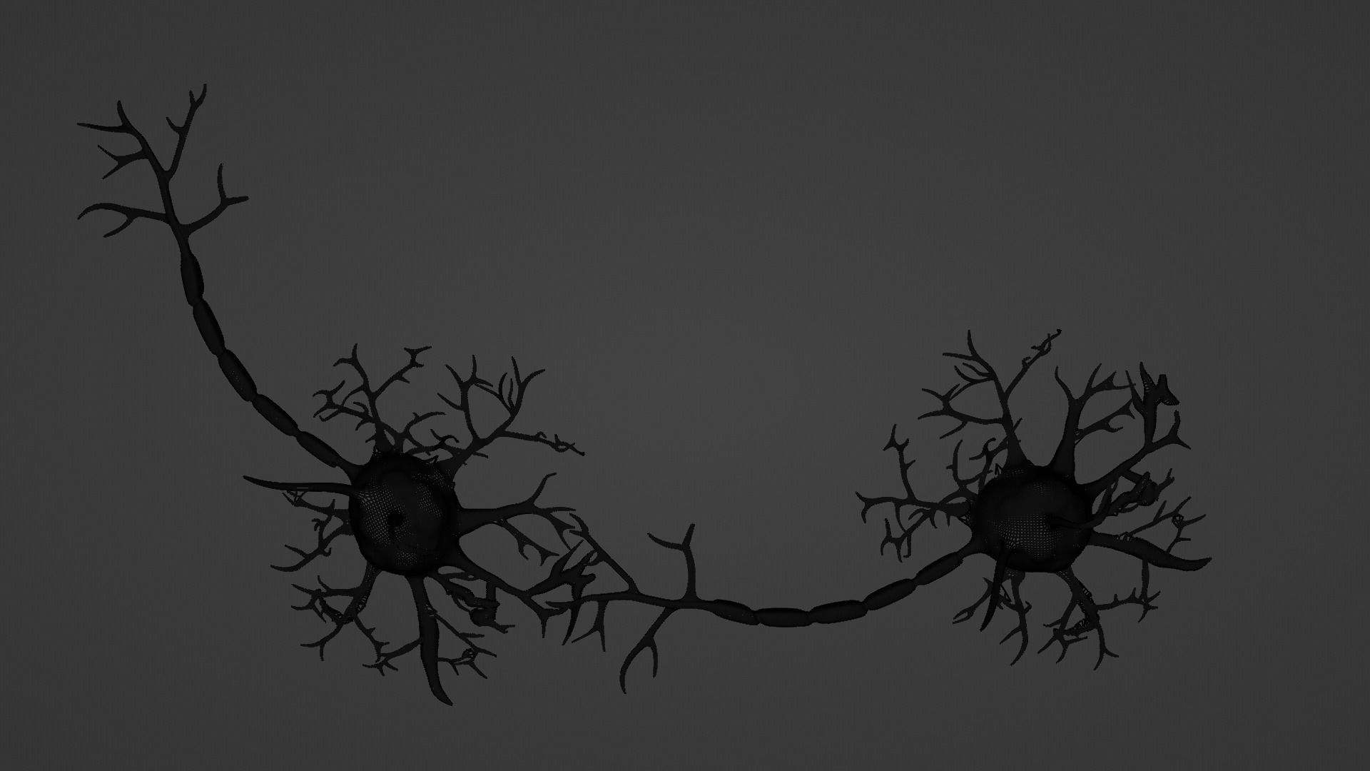 Neurons 3D model_6