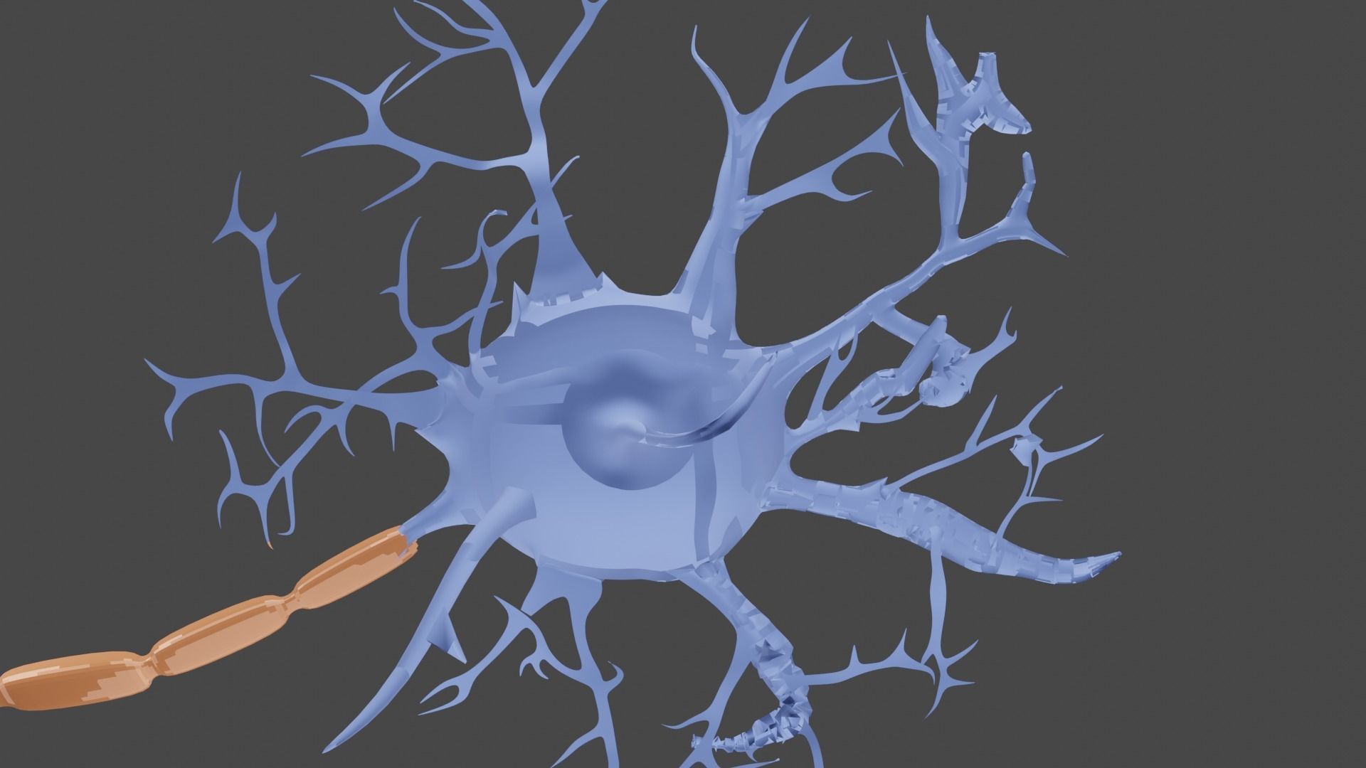Neurons 3D model_3