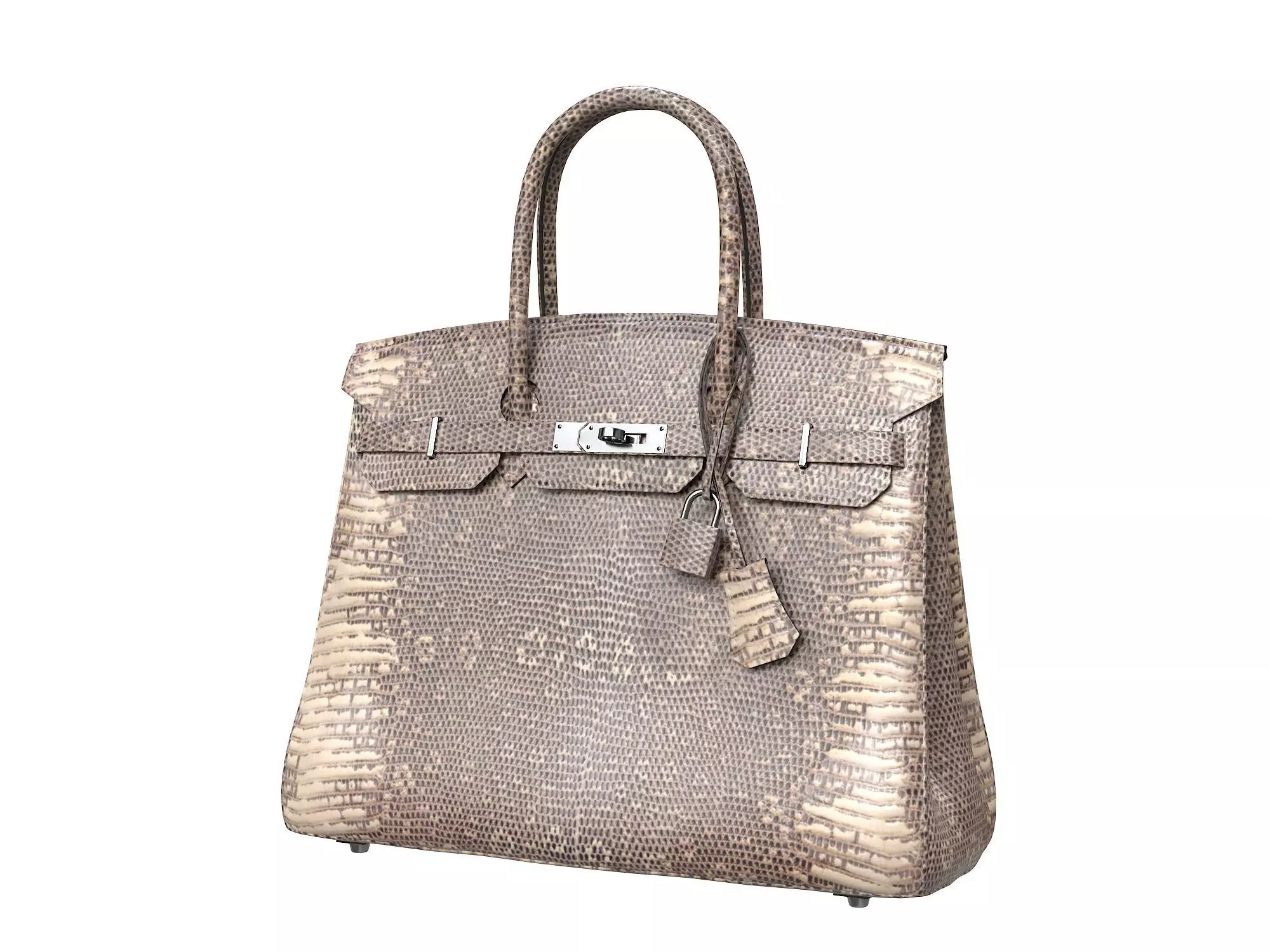 Hermes Birkin Bag Snake Leather Low-poly 3D model_0