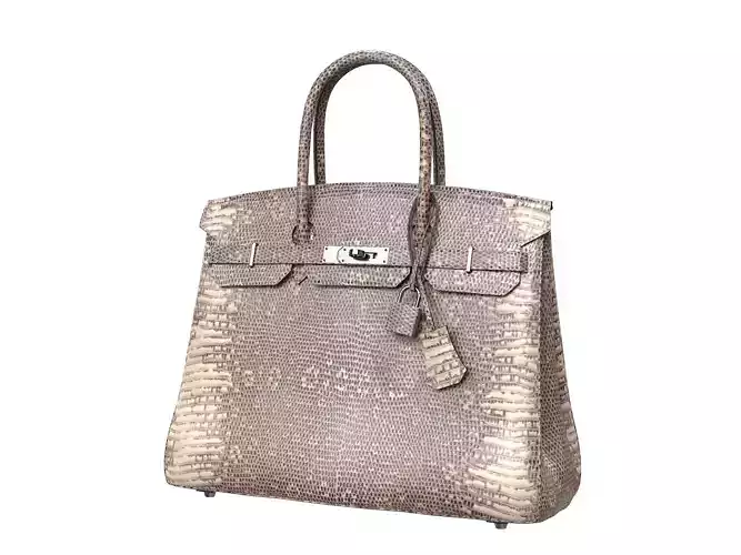 Hermes Birkin Bag Snake Leather Low-poly 3D model