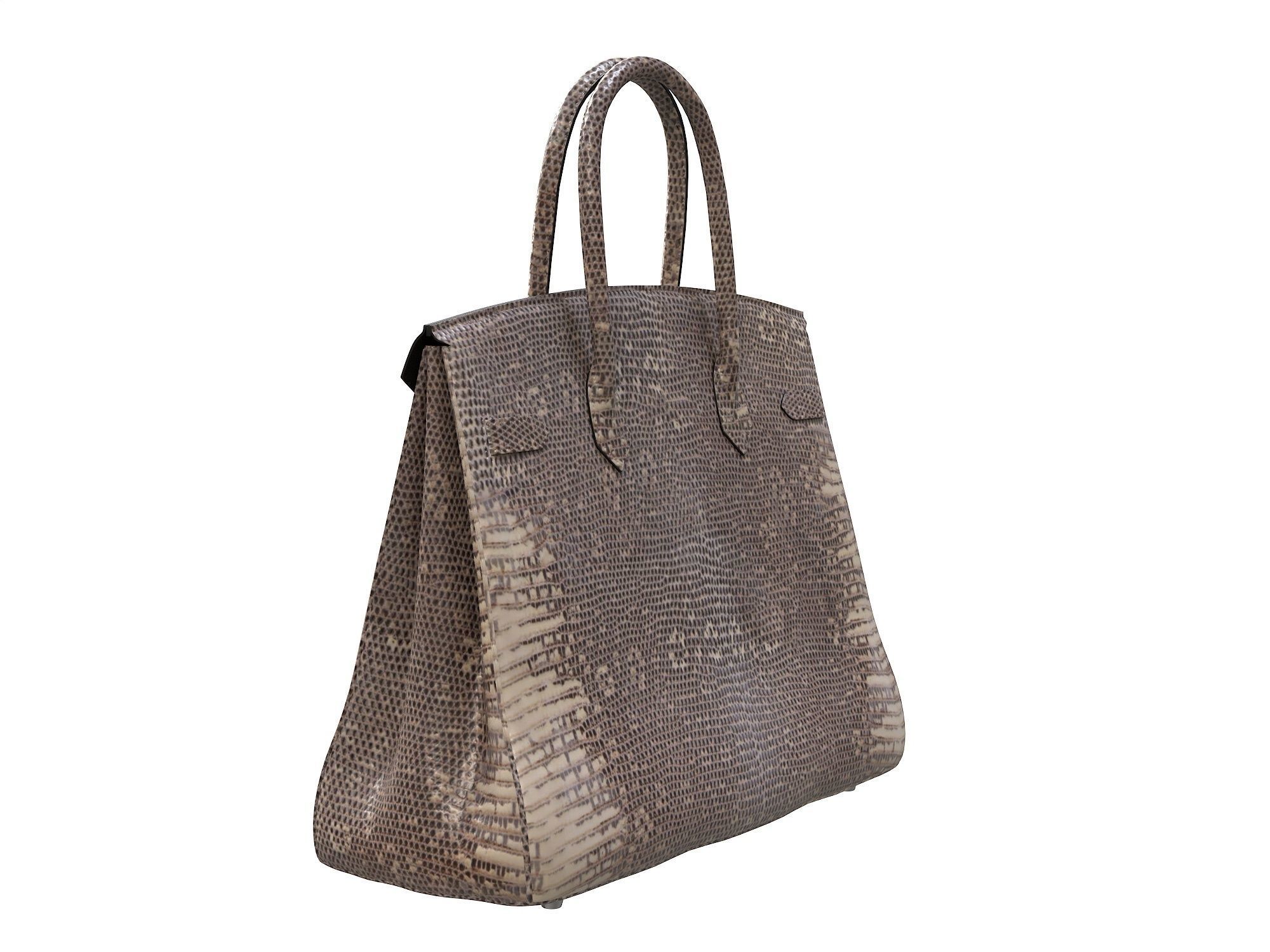 Hermes Birkin Bag Snake Leather Low-poly 3D model_4