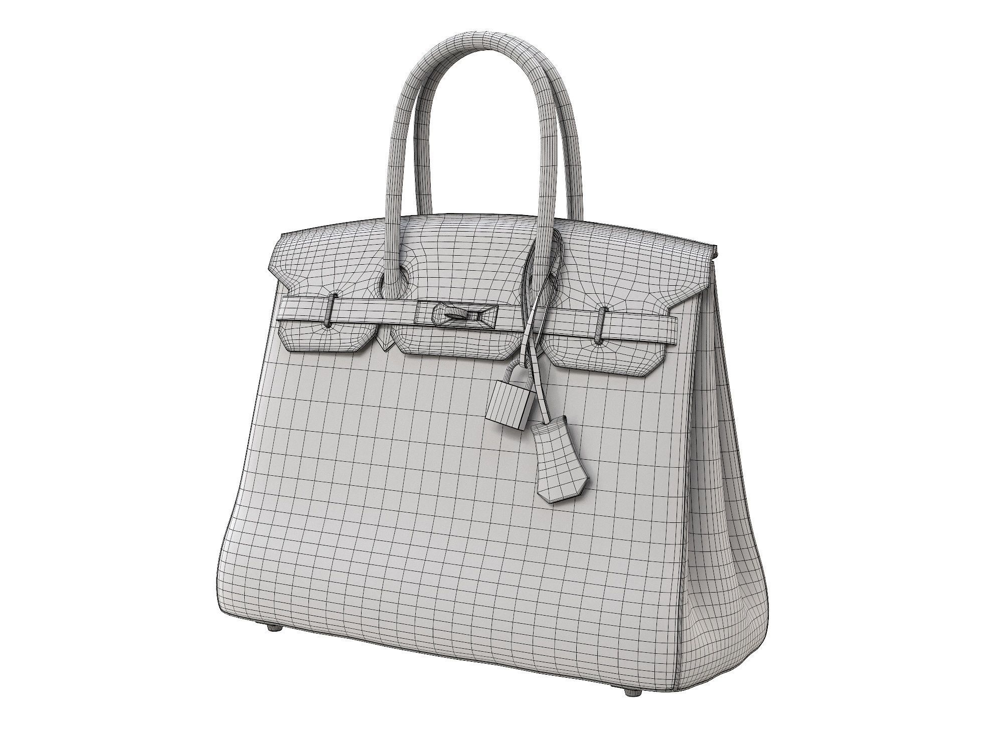 Hermes Birkin Bag Snake Leather Low-poly 3D model_7