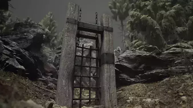 Metal Gate with Wooden Frame