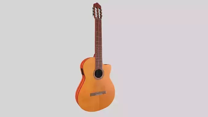 Guitar