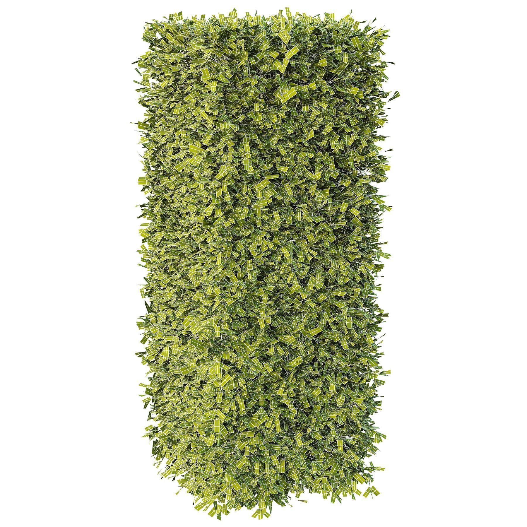 Dwarf Burning Bush Box Sphere 3D model_4