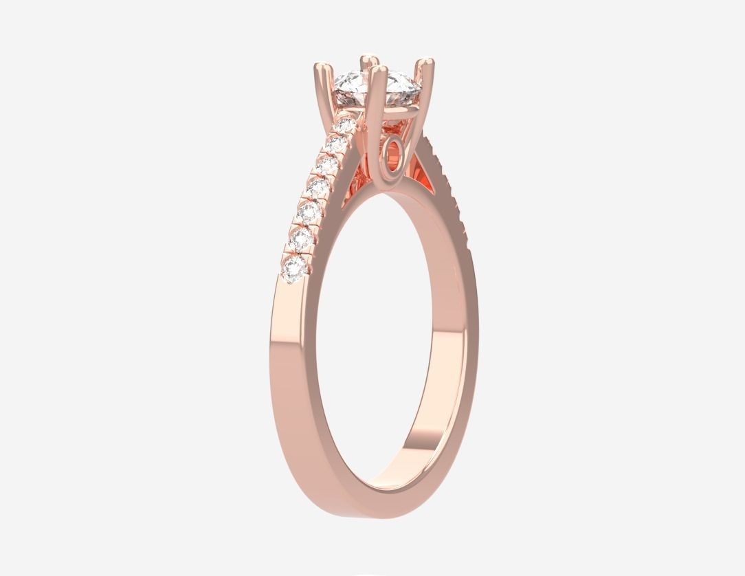 ring code 10 3D print model_11