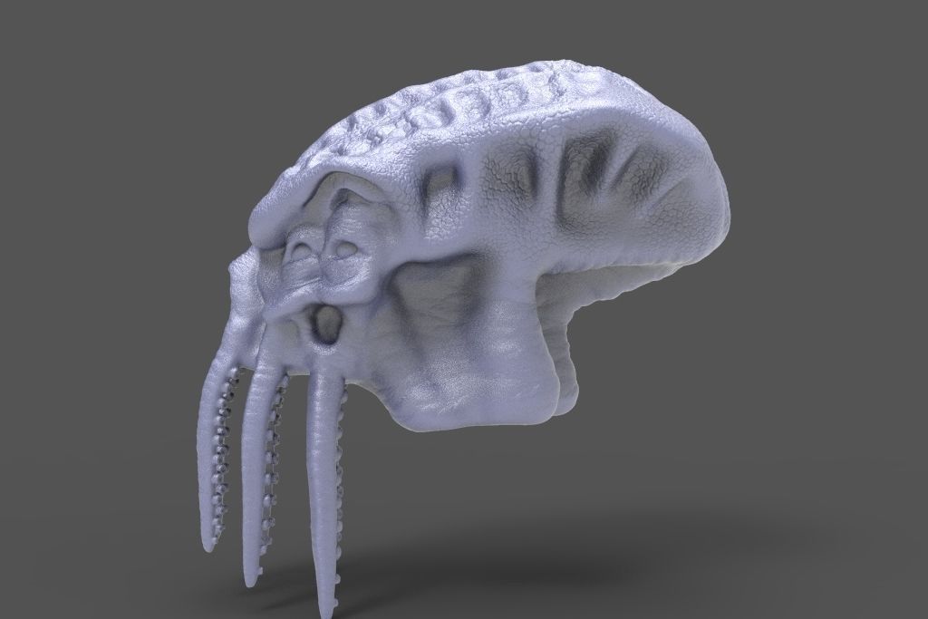 HEAD-R15 high poly sculpt 3D model_1