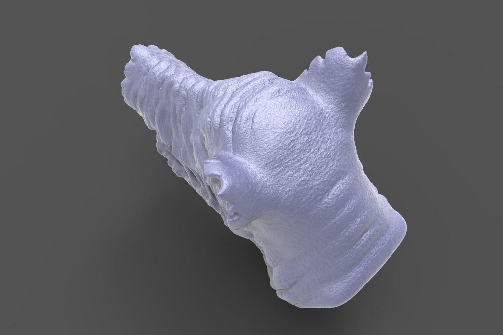 HEAD - pid25 high poly sculpt  3D model_4