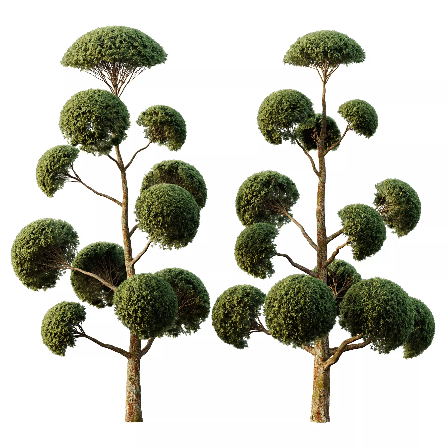 Spherical tree01 3D model