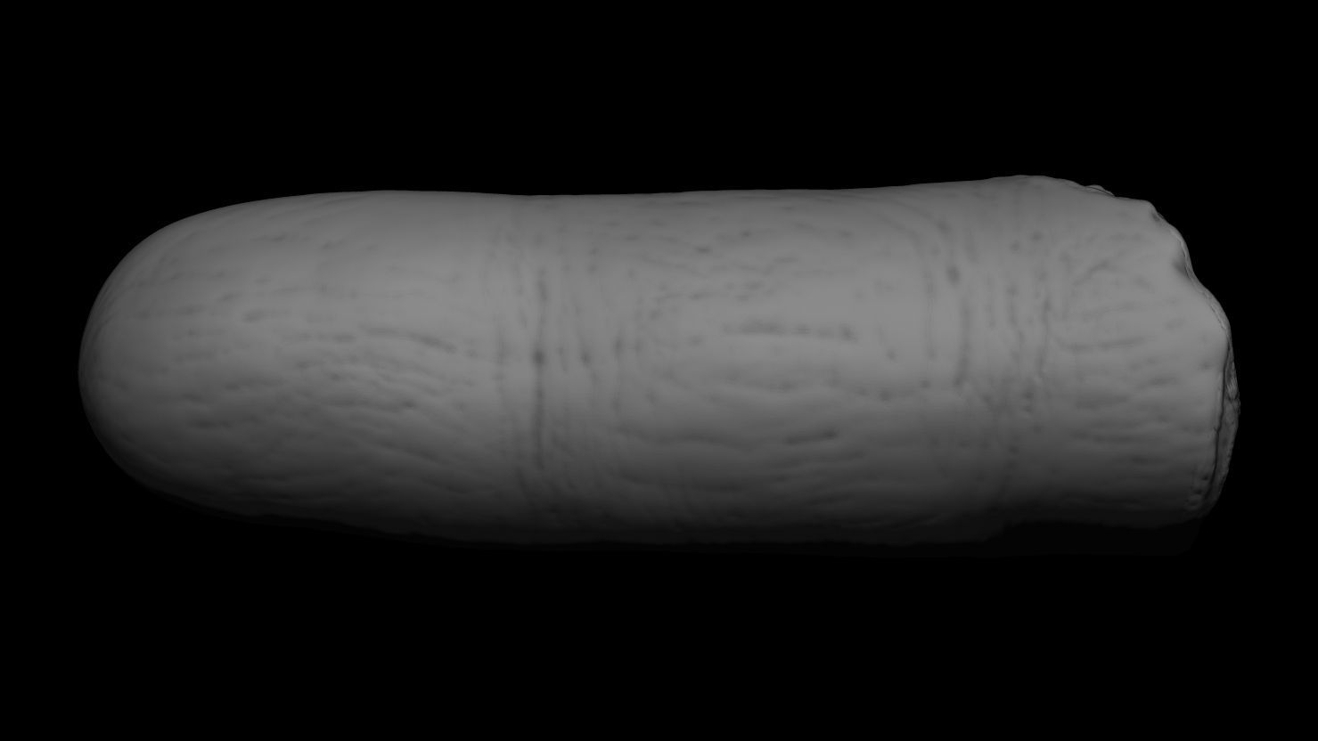3D PRINTABLE SEVERED FINGER 3D print model_4