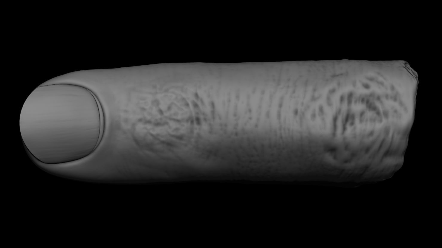 3D PRINTABLE SEVERED FINGER 3D print model_2