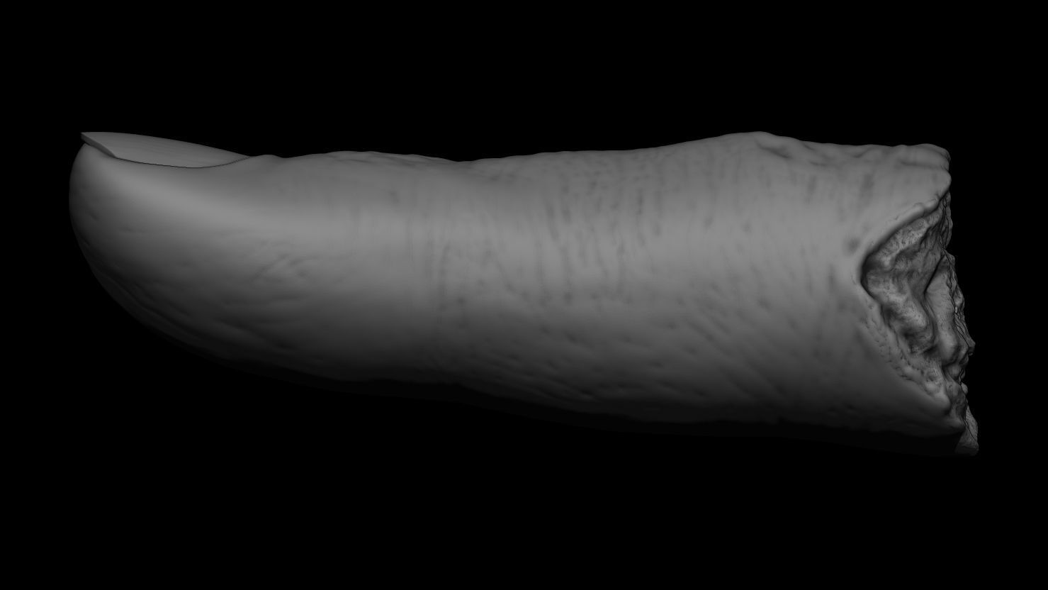 3D PRINTABLE SEVERED FINGER 3D print model_3