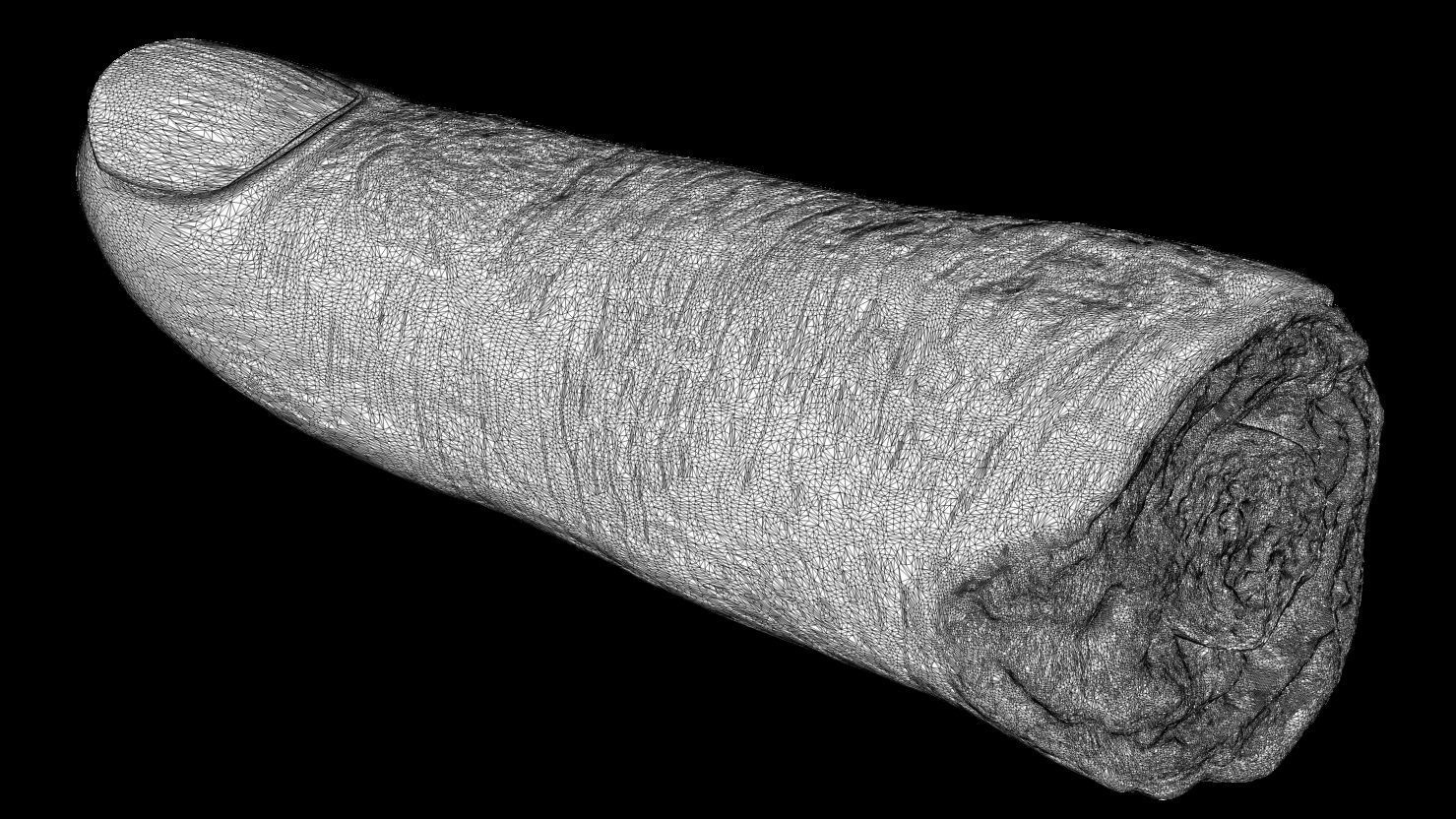 3D PRINTABLE SEVERED FINGER 3D print model_11