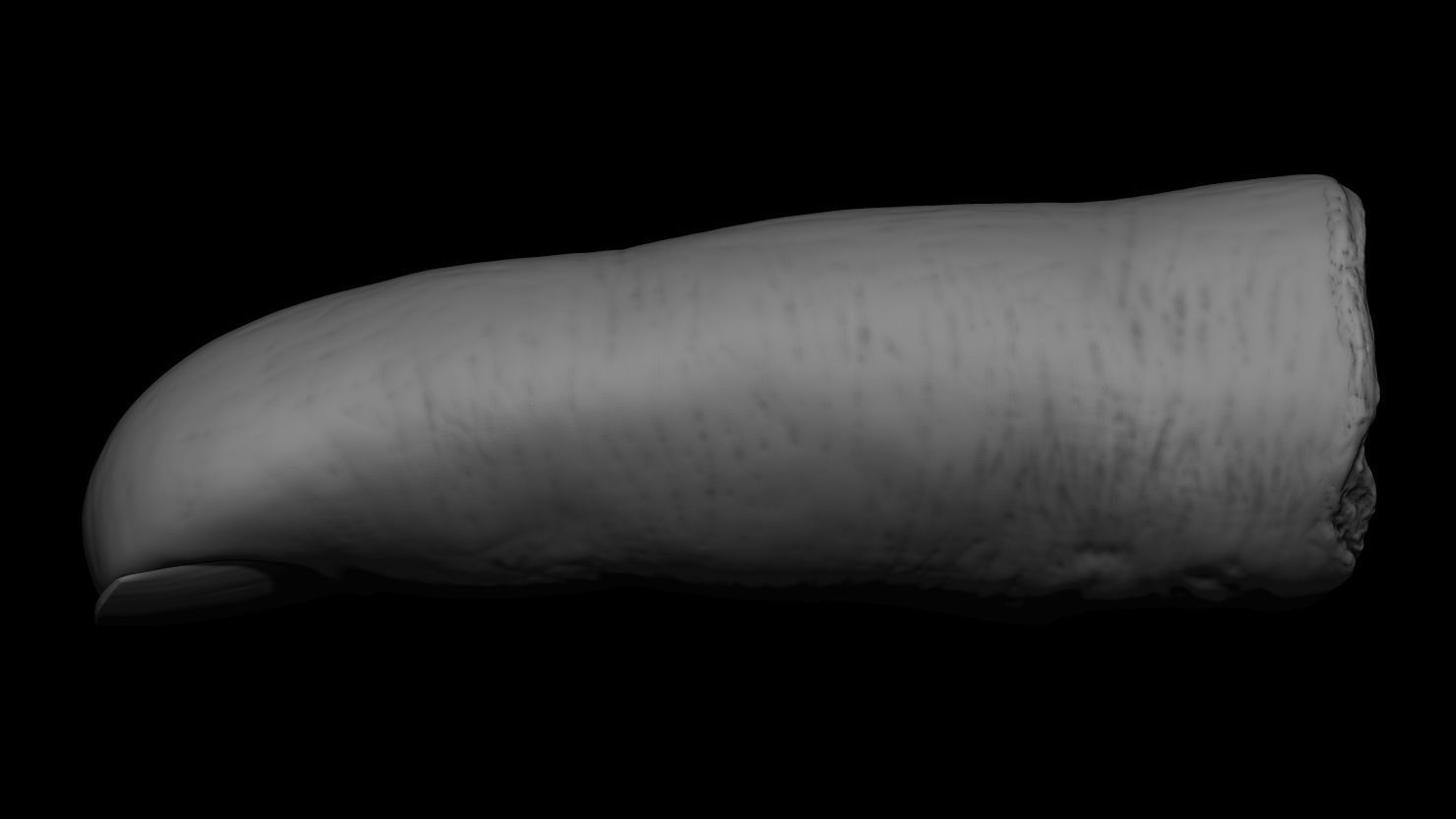 3D PRINTABLE SEVERED FINGER 3D print model_5