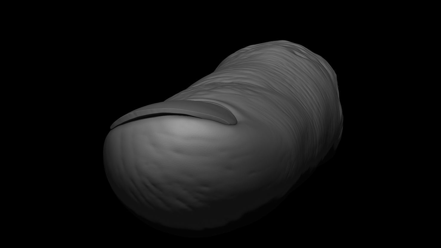 3D PRINTABLE SEVERED FINGER 3D print model_7