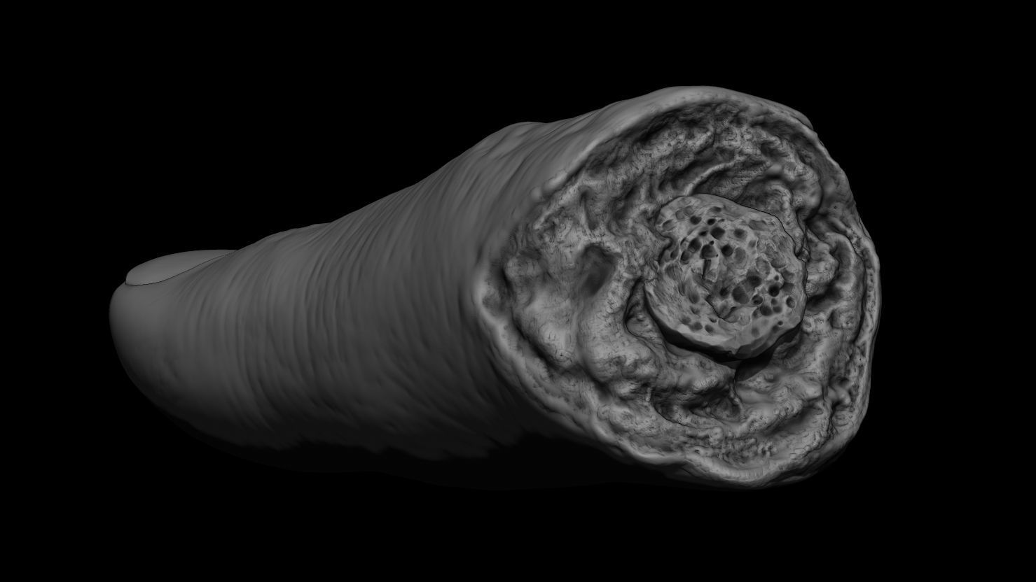 3D PRINTABLE SEVERED FINGER 3D print model_8