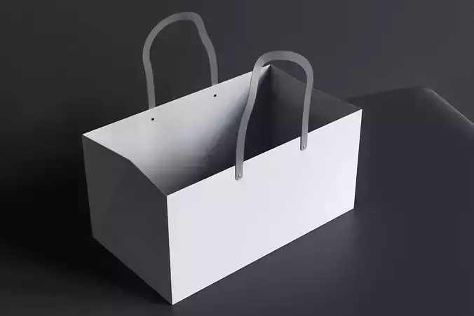 Paper bag
