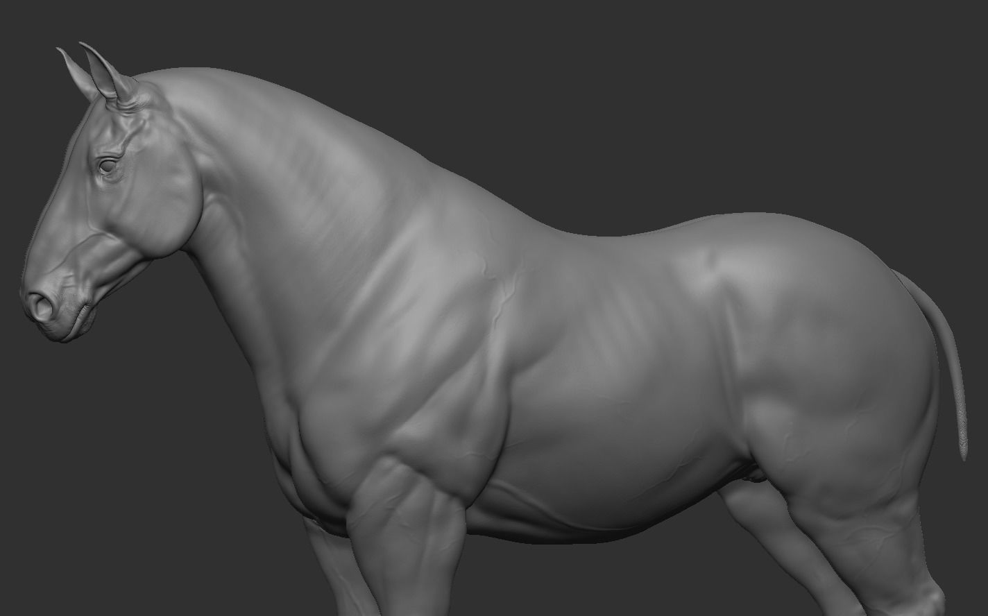 Three Horse Breeds 3D print model_6