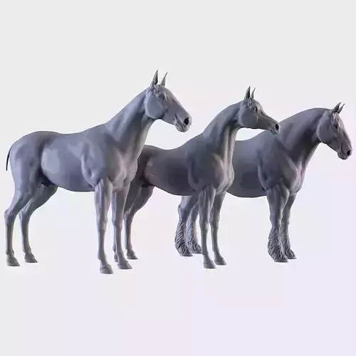 Three Horse Breeds 3D print model