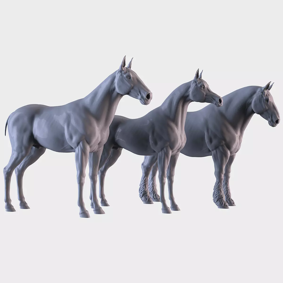 Three Horse Breeds 3D print model_0