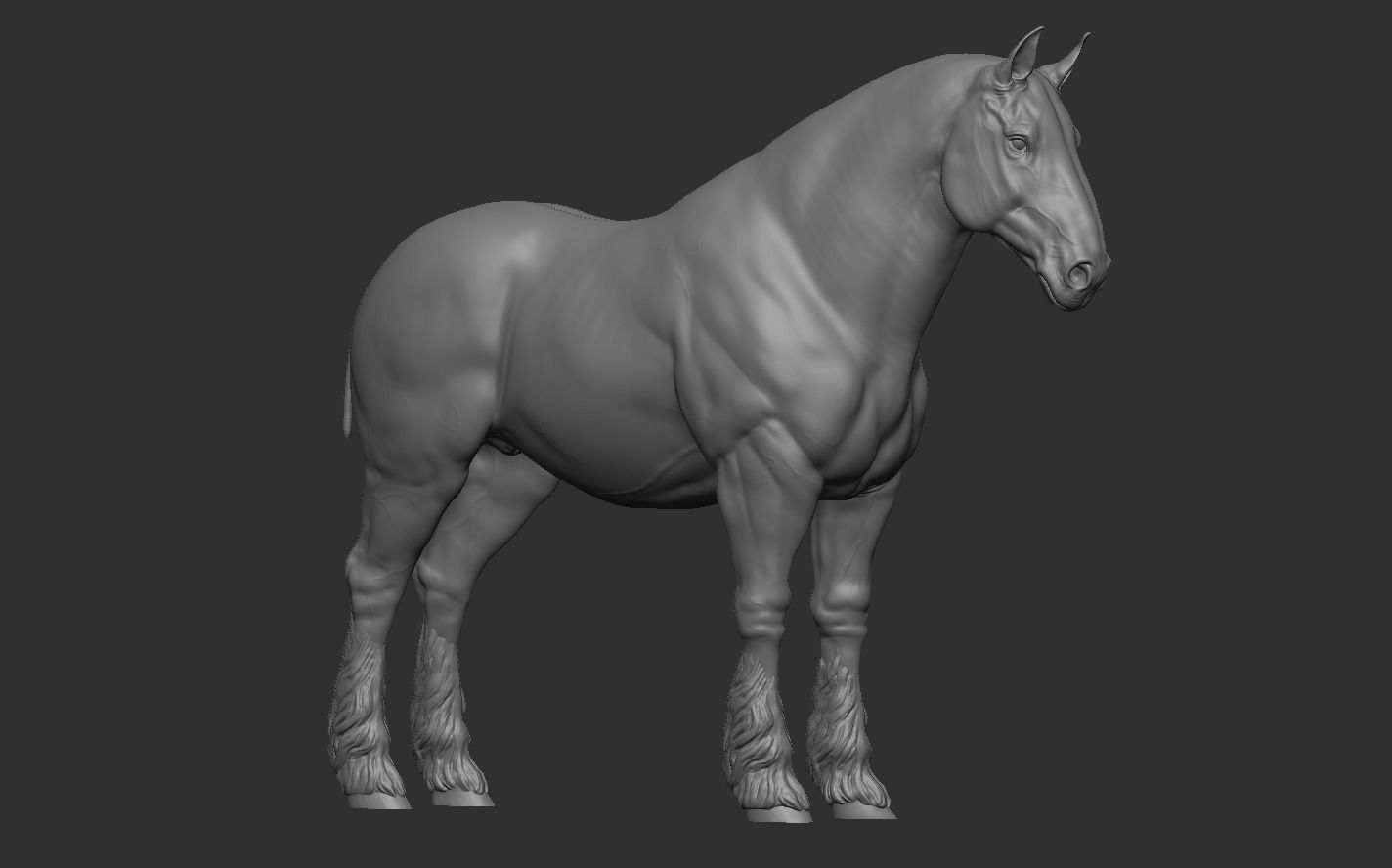 Three Horse Breeds 3D print model_4