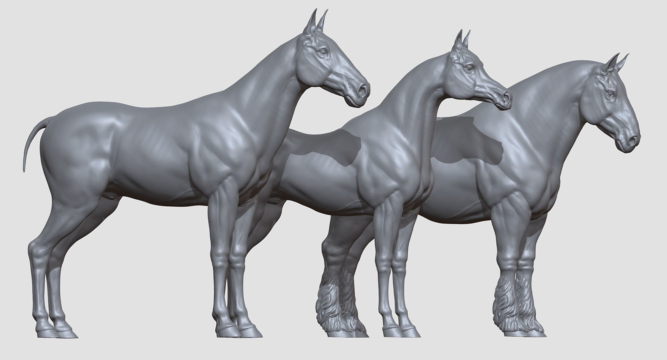 Three Horse Breeds 3D print model_3