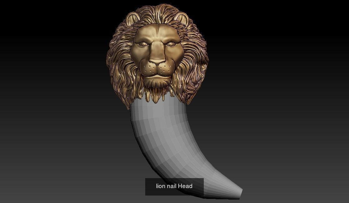 Lion pendant and ring collection  _32