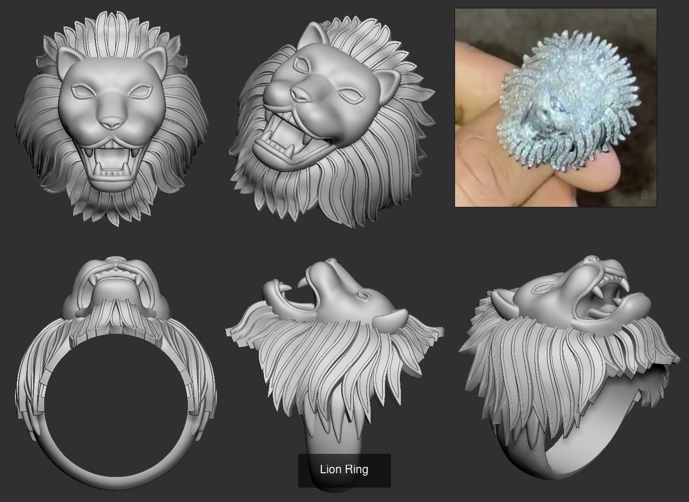 Lion pendant and ring collection  _16