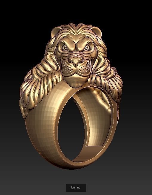 Lion pendant and ring collection  _28