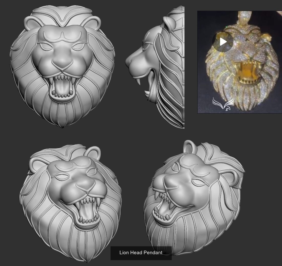 Lion pendant and ring collection  _18