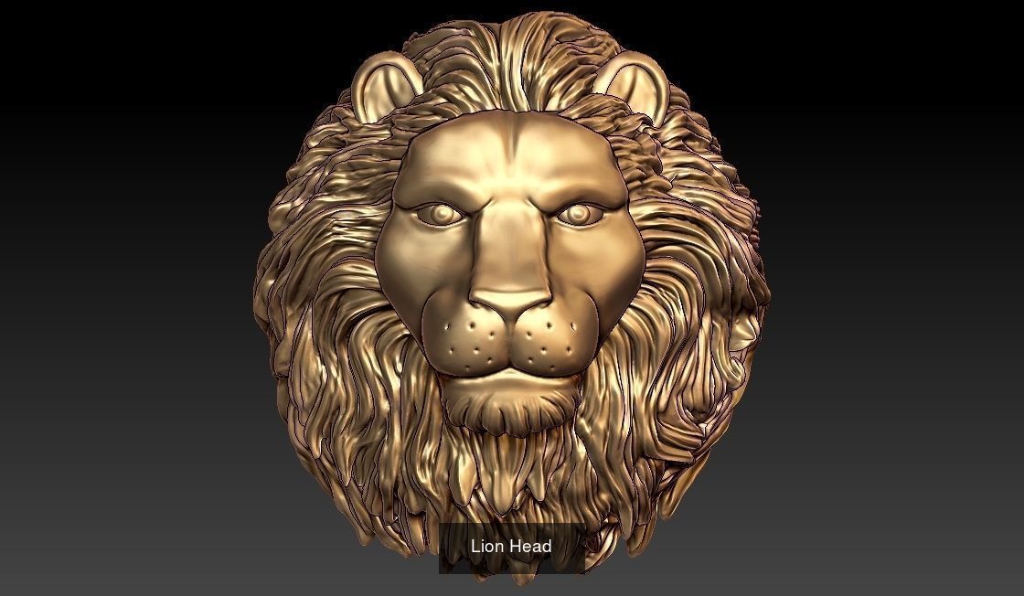 Lion pendant and ring collection  _31