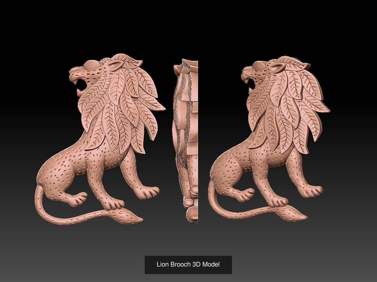 Lion pendant and ring collection  _7