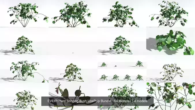 EVERYPlant Stinging Bush LowPoly Bundle --64 Models-- 3D Model Collection