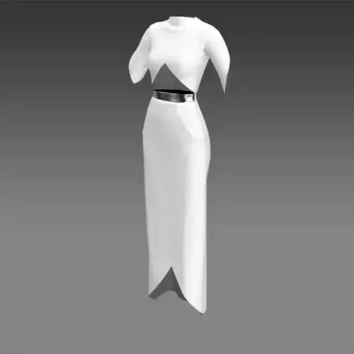 Asymetric skirt and blouse and slevee