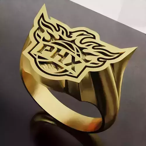 Phoenix Fans Rings 3D Print Models