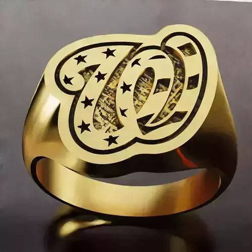 Washington Nationals Baseball Fans Rings 3D Print Models