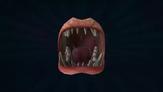 LIPS-007 Rigged Mouth Low-poly 3D model