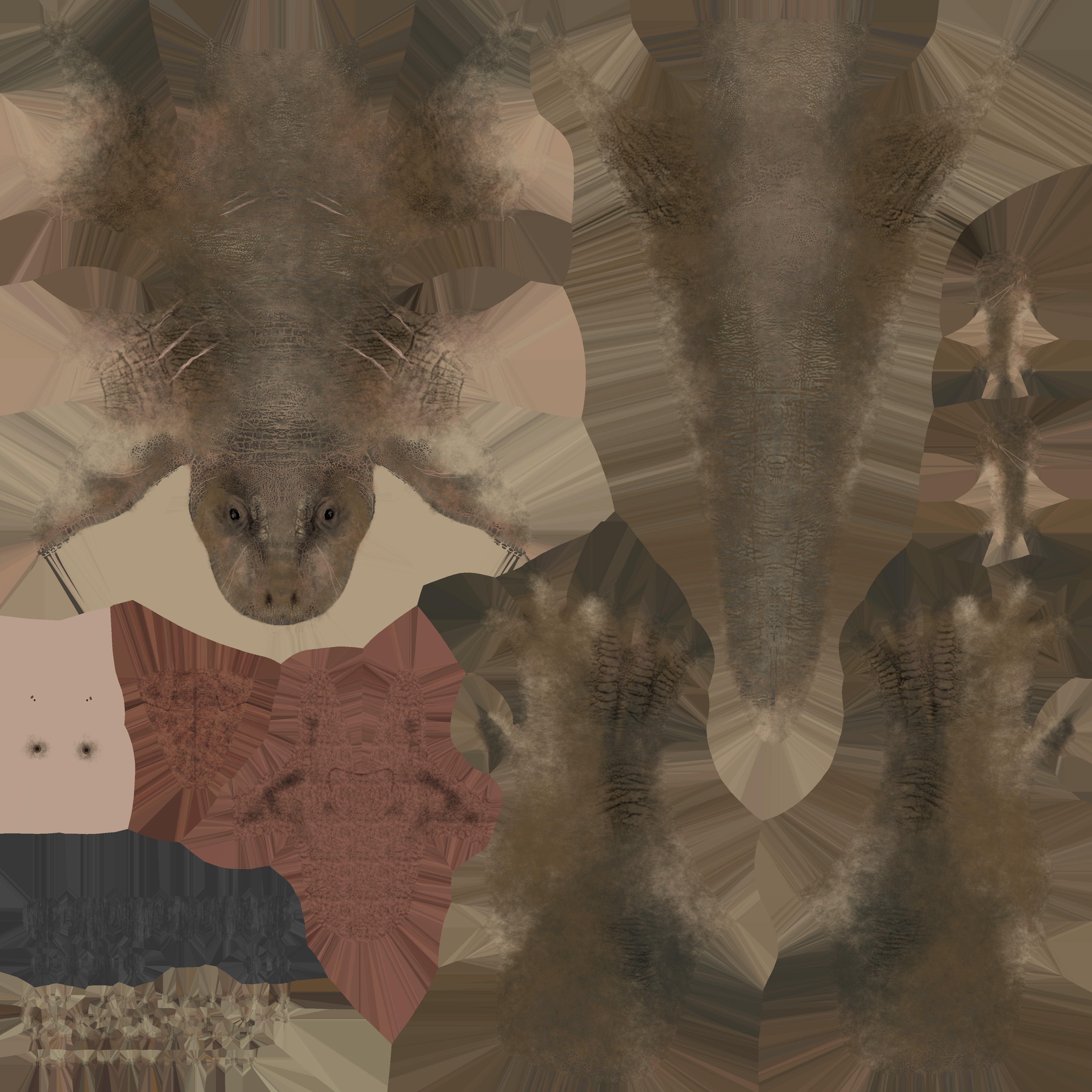 Tyrannosaurus 3D model_9