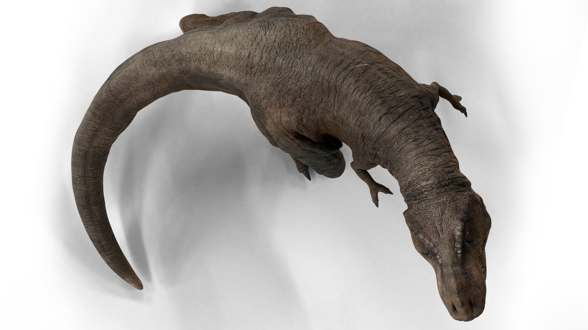 Tyrannosaurus 3D model_2