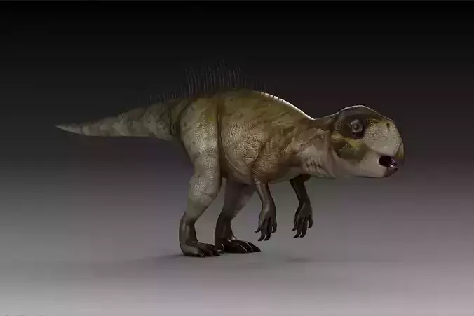plant-eating Dinosaur Psittacosaurus an ancient Psittacosauridae